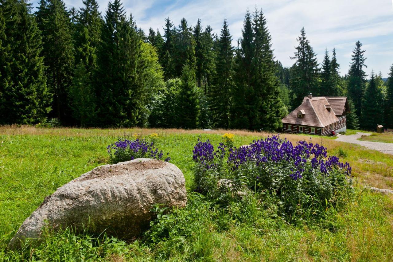 Penzion Valentino Hotel Bedřichov Buitenkant foto